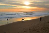 Great surfing beaches on Phillip Island.